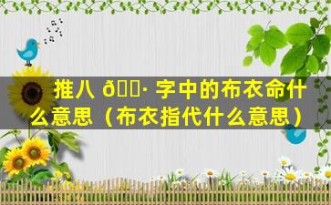 推八 🕷 字中的布衣命什么意思（布衣指代什么意思）